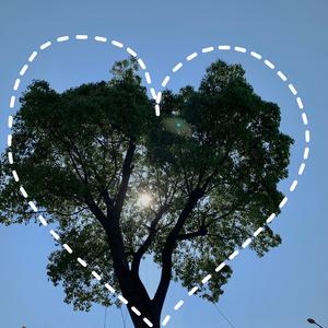 粗口体育生视频
