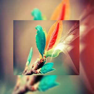 粗口体育生视频
